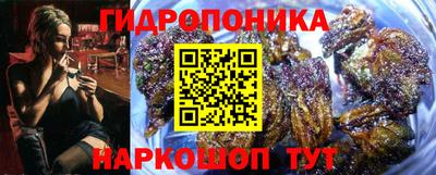 2c-b Моздок