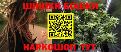 гидропоника Можга