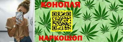 гидропоника Можга