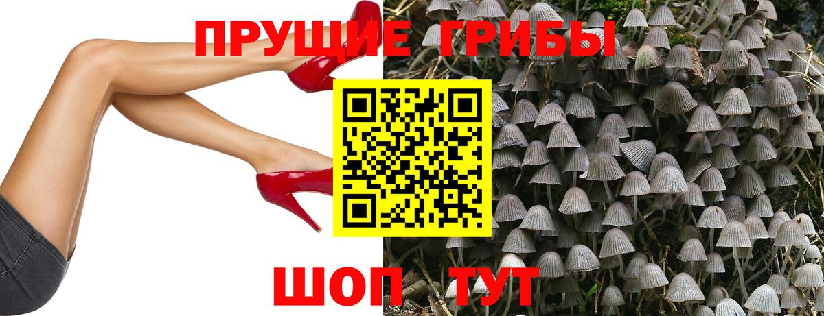 Псилоцибиновые грибы мицелий  Псилоцибиновые грибы GOLDEN TEACHER  Вход с VPN  Алейск 